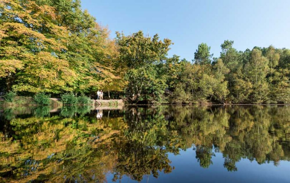 foret broceliande bretagne